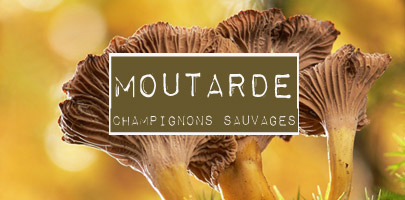 Moutarde aux champignons sauvages